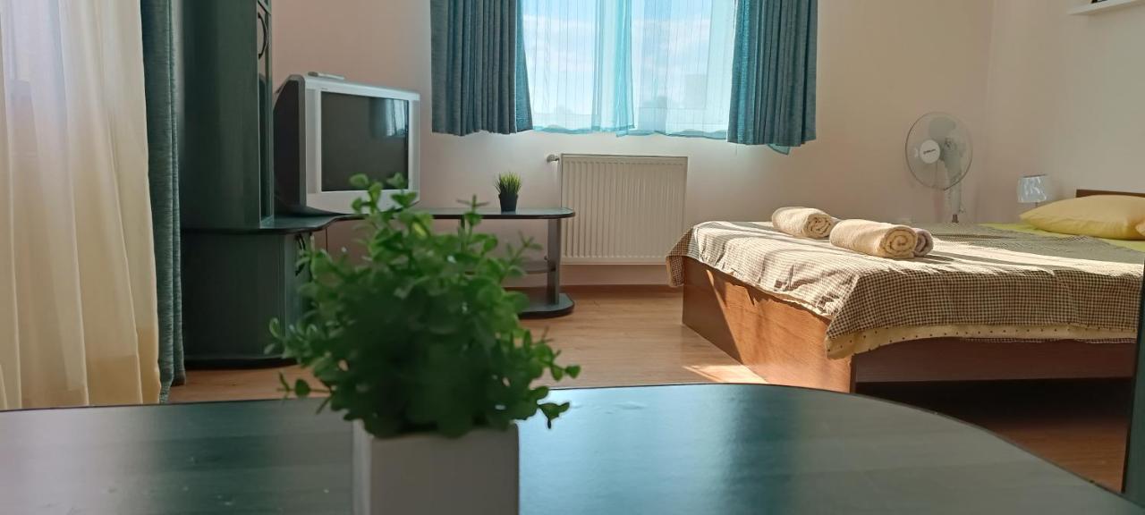 Vip Apartments In The Centre Мукачево Екстер'єр фото