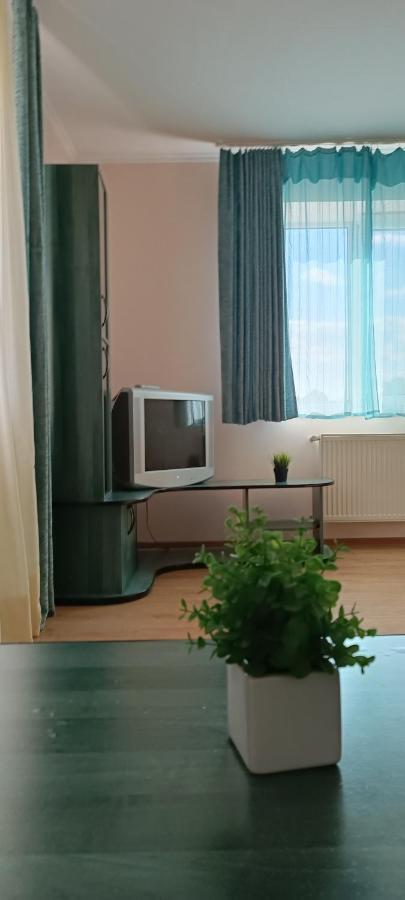 Vip Apartments In The Centre Мукачево Екстер'єр фото